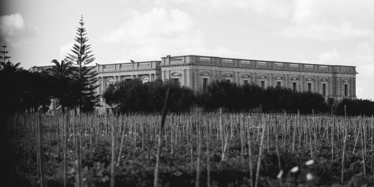 Montekristo Estate
