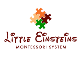 Little Einsteins